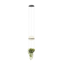 Подвесной светильник Vibia Palma 3724 Graphite