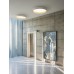 Потолочный светильник Vibia Duo 4870 Graphite