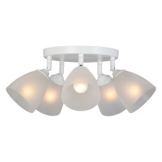 Потолочная люстра Vitaluce V4355 V4355-0/5PL