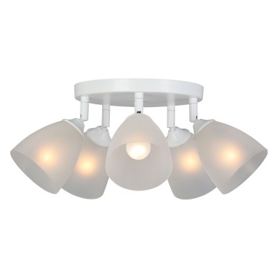 Потолочная люстра Vitaluce V4355 V4355-0/5PL