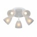 Потолочная люстра Vitaluce V4355 V4355-0/5PL