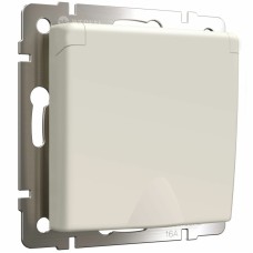 Розетка с заземлением и шторками c крышкой Werkel 4690389184765 W1171262