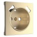 Накладка для розетки с заземлением и 2хUSB Werkel шампань рифленый W1179510