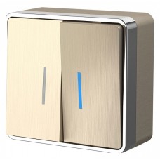 Выключатель двухклавишный с подсветкой Werkel Gallant (шампань рифленый) W5020110