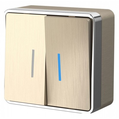 Выключатель двухклавишный с подсветкой Werkel Gallant (шампань рифленый) W5020110