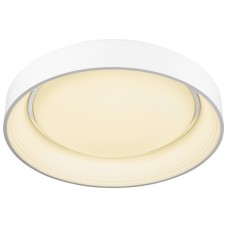 Потолочный светильник WERTMARK WE412.02.027