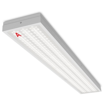 Накладной светильник WoltaPRO ЛАЙНЕР ДПО03-54-142-5К