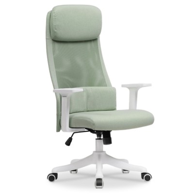  Компьютерное кресло Salta light green / white