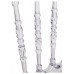  CHIAVARI 1 White/ KJC1006 KD clear white plastic Стул (Товар 1)