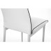   Стул на металлокаркасе DC2-001 white / black