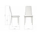   Стул на металлокаркасе DC2-001 white / black