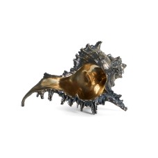 Аксессуар YACHTLINE Chicoreus