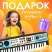 Синтезатор детский с микрофоном «Музыкальный взрыв», 49 клавиш с радио, работает от батареек