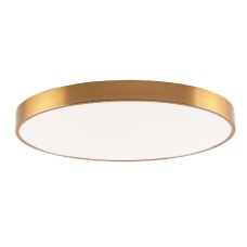 Потолочный светильник Zortes Tortty ZRS.02566.96