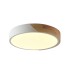 Потолочный светильник Zortes Alberro ZRS.01239.90