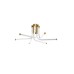 Потолочная люстра Zortes Lora ZRS.57784.06