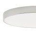 Потолочный светильник Zortes Tortty ZRS.02565.96