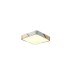 Потолочный светильник Zortes Alberro ZRS.01285.60