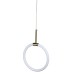Подвесной светильник Zortes Jessy ZRS.01043.01