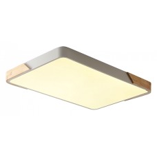 Накладной светильник Zortes Alberro ZRS.01233.60