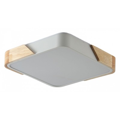 Накладной светильник Zortes Alberro ZRS-01285-48