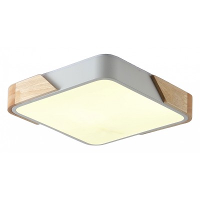 Накладной светильник Zortes Alberro ZRS-01285-60