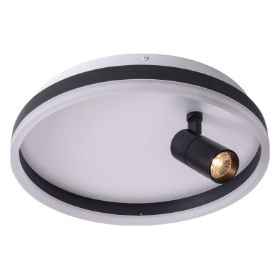 Накладной светильник Zortes Raizy ZRS-1888-03