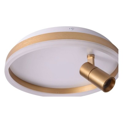 Накладной светильник Zortes Raizy ZRS-1888-04