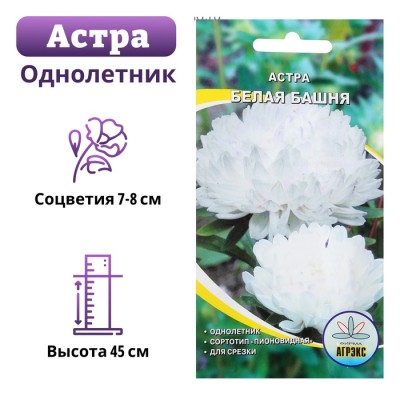 Семена цветов Астра пионовидная 