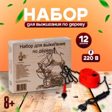 Набор для выжигания по дереву: прибор + 12 дощечек: 21.3 × 14.8 × 0.4 см, мощность: 220 В