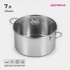 Кастрюля Доляна «Грейт», 7 л, индукция, нержавеющая сталь