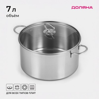 Кастрюля Доляна «Грейт», 7 л, индукция, нержавеющая сталь