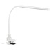 Настольная лампа Эра NLED-509-8W-W Б0059841