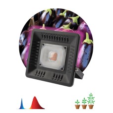 Фитопрожектор для растений Эра FITO-50W-LED-BLUERED Б0039033