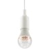 Светодиодная фитолампа для растений Эра ФИТО А60-15W-PFR-E27-GR Б0064527
