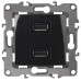 Розетка USB Эра 12-4110-06 Б0027496