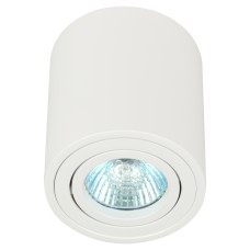 Накладной светильник Эра OL21 WH Б0054392