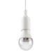 Светодиодная фитолампа для растений Эра ФИТО A60-15W-PL-E27-GR Б0064548