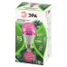 Светодиодная фитолампа для растений Эра ФИТО A60-15W-PL-E27-GR Б0064548