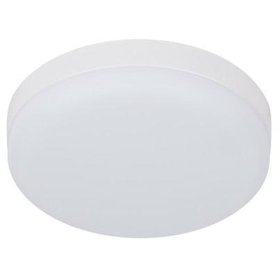 Настенно-потолочный светильник Эра LED 15-24-6K Б0054335