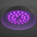 Потолочный светильник Эра SPB-6-80-RC Locus RGB Б0053316