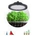 Фитопрожектор для растений Эра FITO-50W-RB-LED-UFO Б0053280