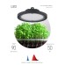 Фитопрожектор для растений Эра FITO-50W-RB-LED-UFO Б0053280