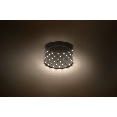 Светодиодная лента Эра 12В 2835 4,8Вт/м 3000K 5м IP20 LS2835-60LED-IP20-WW-eco-5m Б0035587