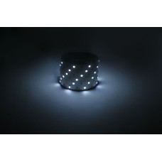 Светодиодная лента Эра 12В 5050 7,2Вт/м 6500K 5м IP20 LS5050-7,2-30-12-6500K-IP20-1 year-5m Б0059917