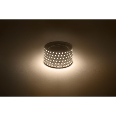 Светодиодная лента Эра 12В 2835 9,6Вт/м 3000K 5м IP20 LS2835-120LED-IP20-WW Б0035596