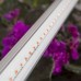 Светильник для растений ЭРА FITO-14W-T5-Ra90 Б0049312