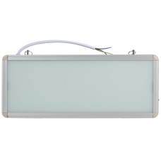 Аварийный светильник Эра SSA-101-0-20 Б0044387