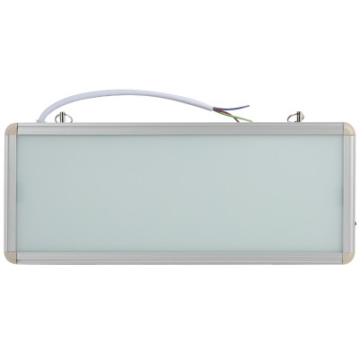 Аварийный светильник Эра SSA-101-0-20 Б0044387