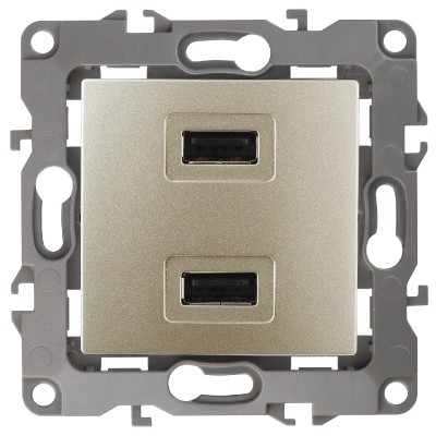 Розетка USB Эра 12-4110-04 Б0027494